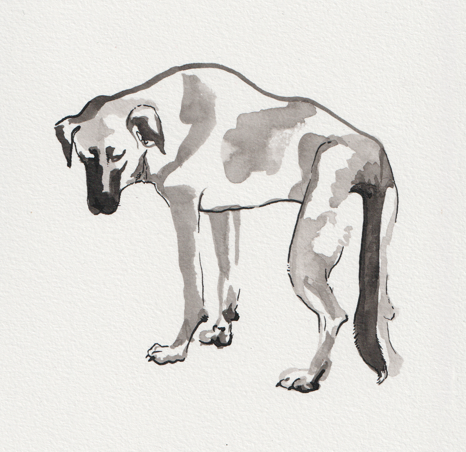 Hura cueva agua huracán Hura cueva agua huracán